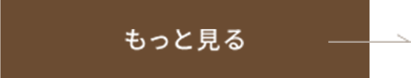 もっと見る